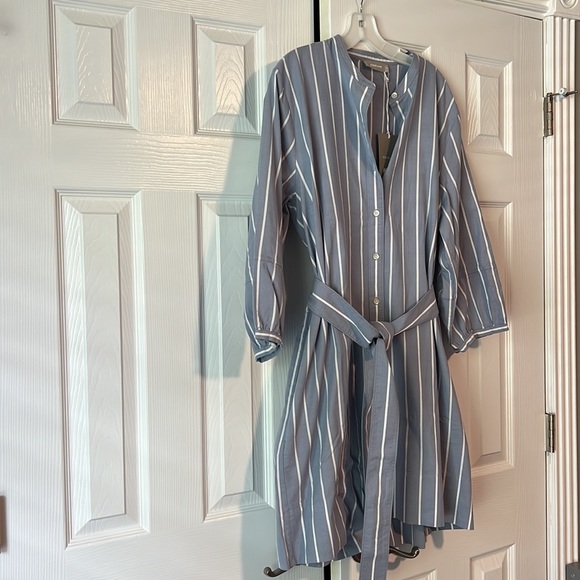 Everlane Blue Striped Shirt Dress - Picture 3 of 7